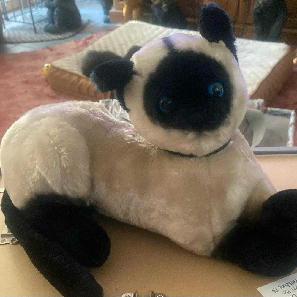 Danko Siamese.